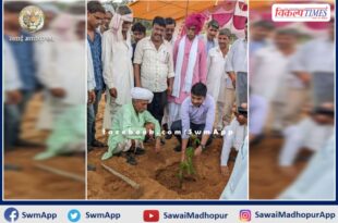 Tree plantation campaign started across the sawai madhopur