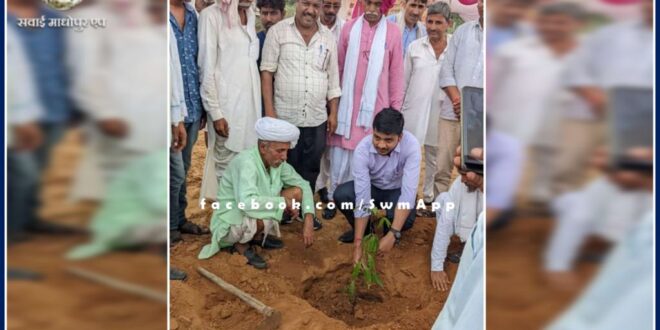 Tree plantation campaign started across the sawai madhopur