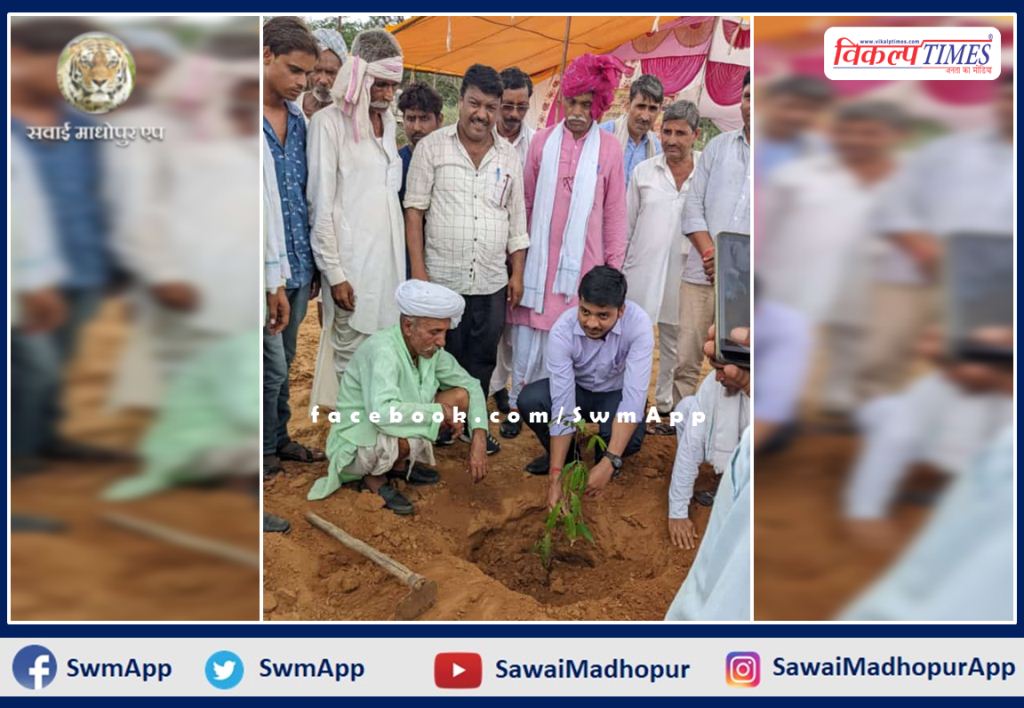 Tree plantation campaign started across the sawai madhopur