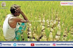 Farmers will have to inform the insurance company in 72 hours about crop damage due to waterlogging