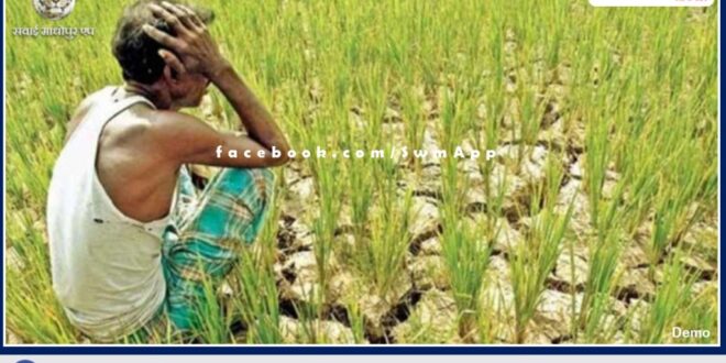 Farmers will have to inform the insurance company in 72 hours about crop damage due to waterlogging