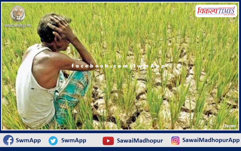 Farmers will have to inform the insurance company in 72 hours about crop damage due to waterlogging