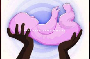 Fetus Found In Garbage Heap in khandar