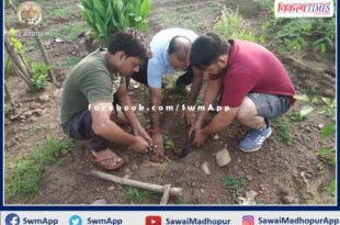 Initiative to revive forest wealth