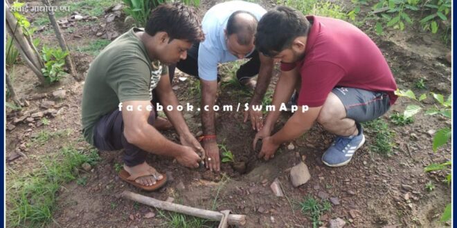 Initiative to revive forest wealth