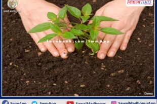 Plantation done under Amrit Mahotsav in sawai madhopur