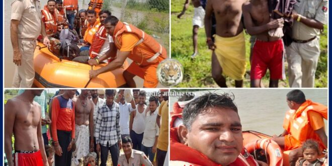 Rescue operation continues in Chambal river by NDRF and police administration Khandar