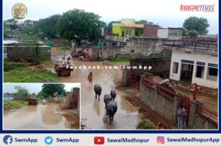 The condition of the main road in Gogor is bad, people upset