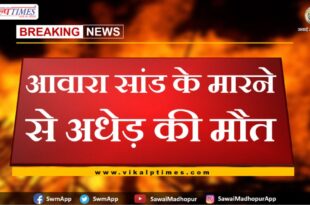 middle-aged dies after being hit by stray bull in chauth ka barwara
