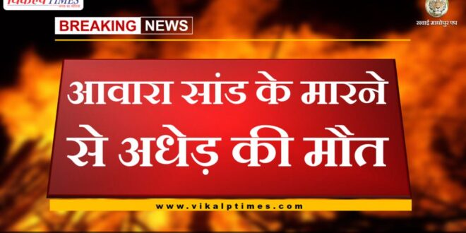 middle-aged dies after being hit by stray bull in chauth ka barwara