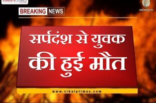 Youth dies due to snakebite in gangapur city sawai madhopur