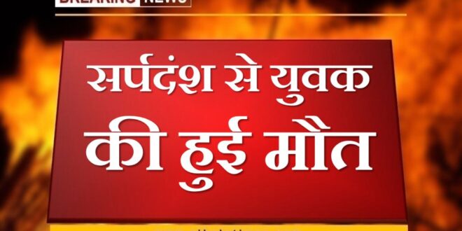 Youth dies due to snakebite in gangapur city sawai madhopur
