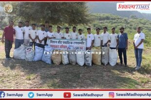 Cleanliness of Khandoj's Balaji and Bhairu ji in the forest area ranthambore