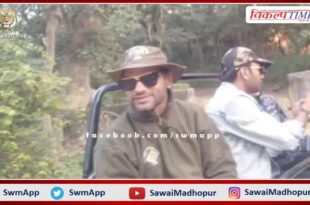 Cricketer Shikhar Dhawan in Ranthambore