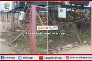 Electricity wires can cause casualties in sawai madhopur