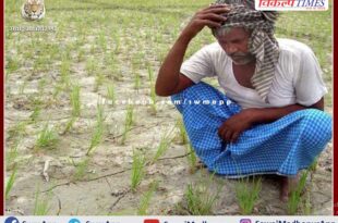 Farmers disappointed due to unseasonal rains in sawai madhopur