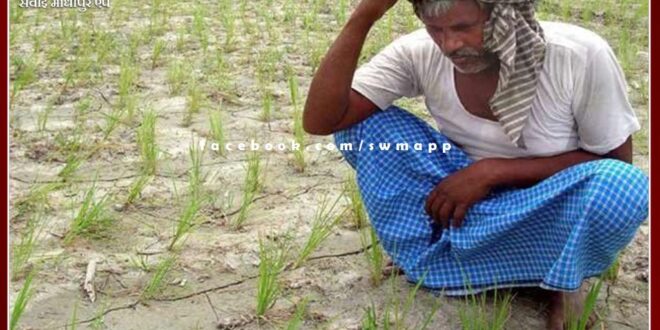 Farmers disappointed due to unseasonal rains in sawai madhopur
