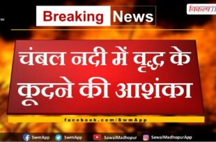 Fear of old man jumping in Chambal river in sawai madhopur