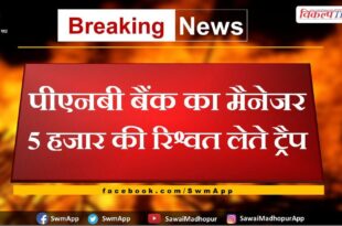 Manager of PNB Bank Trap taking bribe of 5 thousand in sikar