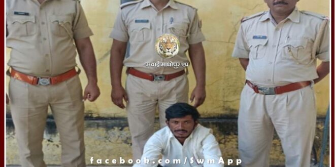 Police arrested one accused including illegal desi katta in sawai madhopur