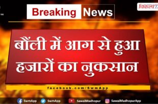 Thousands lost due to fire in Bonli sawai madhopur
