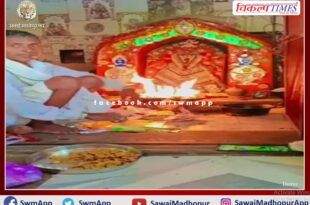 Tinshed installed in Kachida Mata temple on the hill in John number 5 of Ranthambore