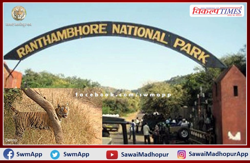 Two tigers will shift from Ranthambore National Park to Sariska and Mukundra Sanctuary