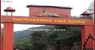 Various programs organized under Wildlife Week in ranthambore