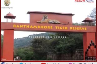Various programs organized under Wildlife Week in ranthambore