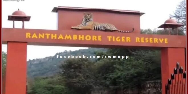Various programs organized under Wildlife Week in ranthambore