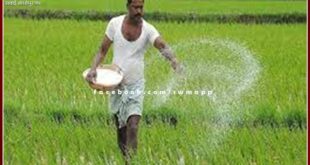11 thousand bags of urea fertilizer will reach the Sawai Madhopur district tomorrow