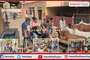 District President of Shri Rajput Karni Sena celebrated birthday in the form of service in sawai madhopur
