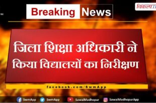 District Education Officer inspected the schools in sawai madhopur