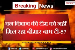 Forest department team is not getting sick tiger T-57