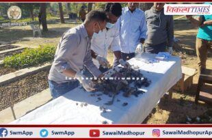 Postmortem of 8 female and 1 male National Birds peacock