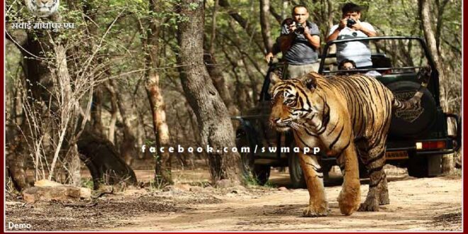 Tiger safari in Ranthambore becomes expensive from today