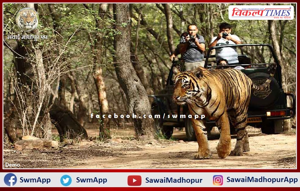 Tiger safari in Ranthambore becomes expensive from today