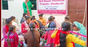 Free handicraft training given to women and girls in sawai madhopur