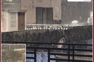 Hail fell in many areas with rain in Sawai Madhopur district