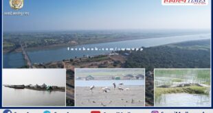 Home of Gharials National Chambal Sanctuary Palighat in khandar