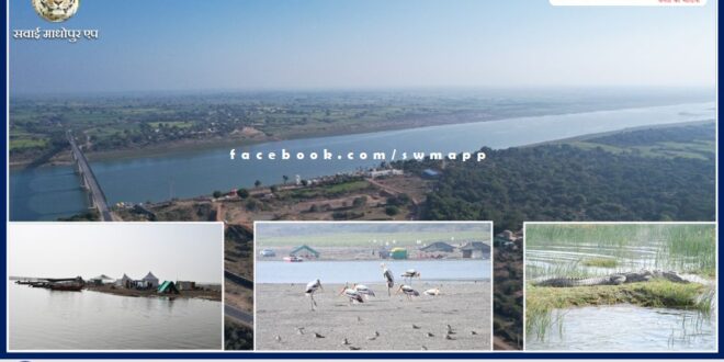 Home of Gharials National Chambal Sanctuary Palighat in khandar