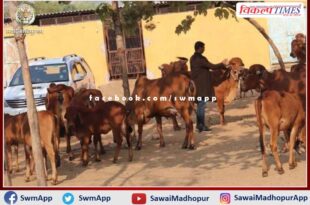 IIT graduate left crores job abroad and wrote ibarat in Hitech Dairy in sawai madhopur