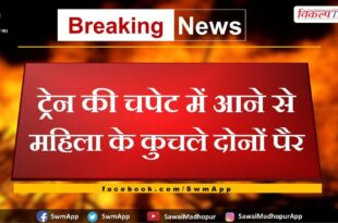 News From Sawai Madhopur