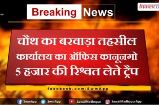Office of Chauth's Barwada Tehsil Office Kanungo trap taking bribe of 5 thousand