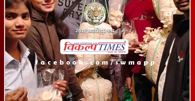 Oyster mushroom was produced for the first time in PG College Sawai madhopur