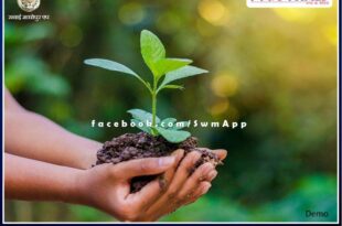 Sawai Madhopur news It is our moral responsibility to protect the environment