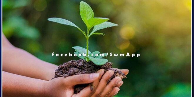 Sawai Madhopur news It is our moral responsibility to protect the environment