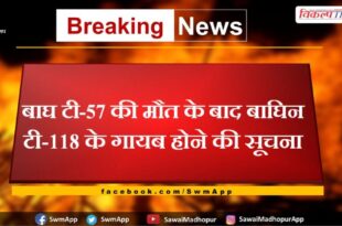 Tigress T-118 reported missing after death of tigress T-57 in ranthambore national park