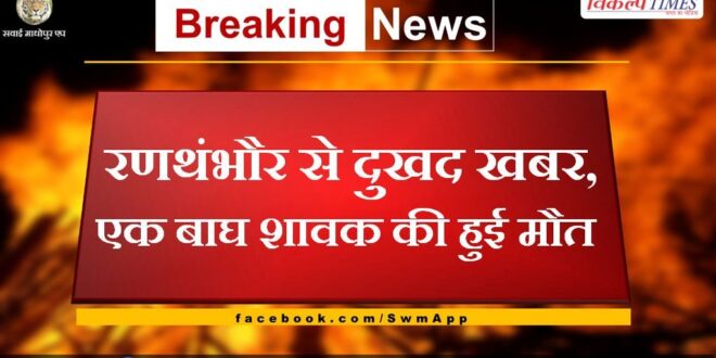 tiger cub death in ranthambore national park