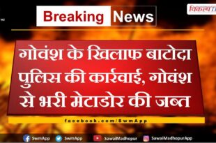 Batoda police station action against cattle